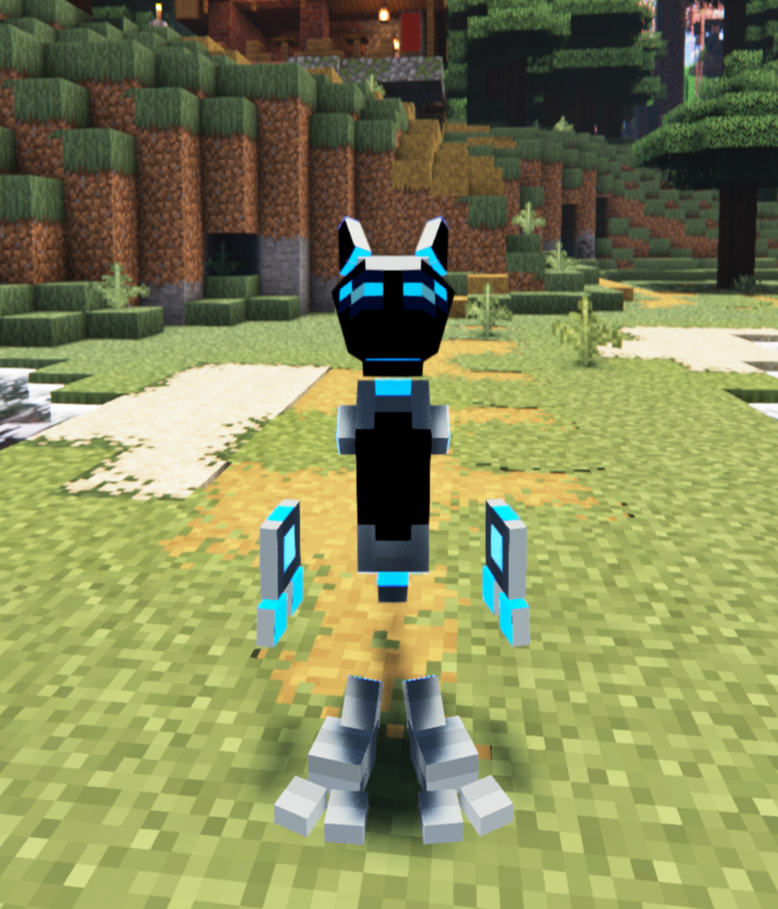 Rbot extra